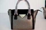 Fashion Tote bag