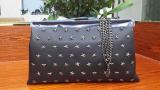 Star Studs Clutch bag